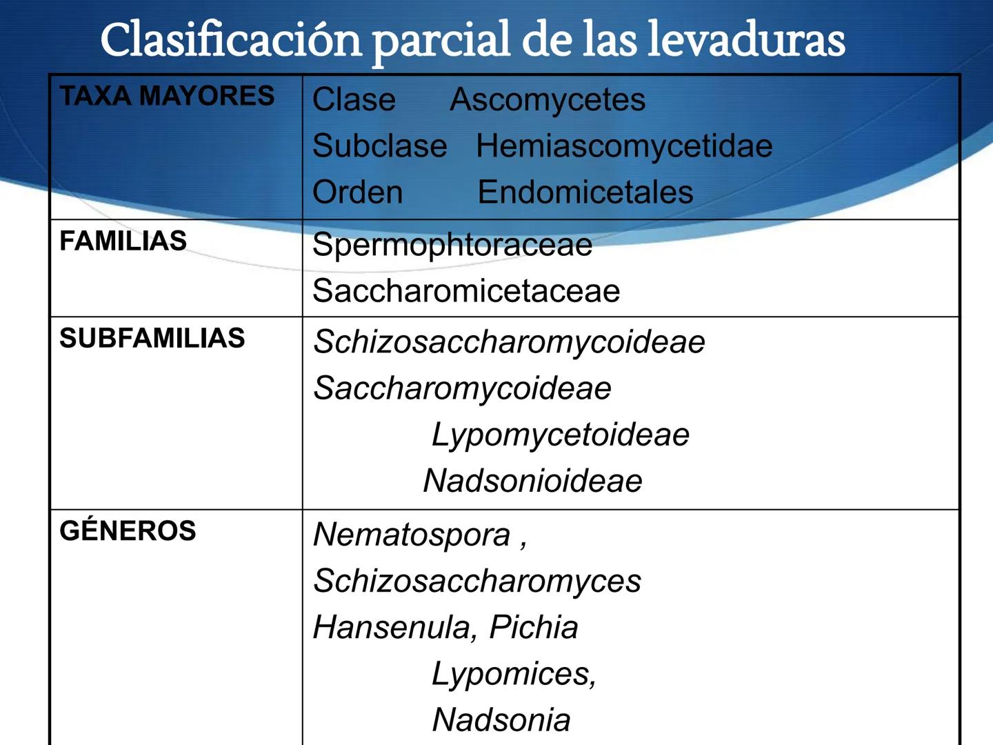 HONGOS
GENERALIDADES DE LOS HONGOS.
MORFOLOGÍA DE LOS HONGOS.
CLASIFICACIÓN DE LOS HONGOS.
NUTRICIÓN Y FISIOLOGÍA DE LOS HONGOS.
REPRODUCCIÓ