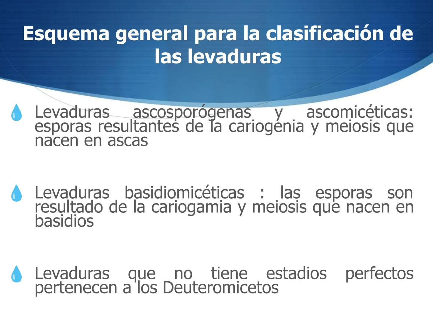 HONGOS
GENERALIDADES DE LOS HONGOS.
MORFOLOGÍA DE LOS HONGOS.
CLASIFICACIÓN DE LOS HONGOS.
NUTRICIÓN Y FISIOLOGÍA DE LOS HONGOS.
REPRODUCCIÓ