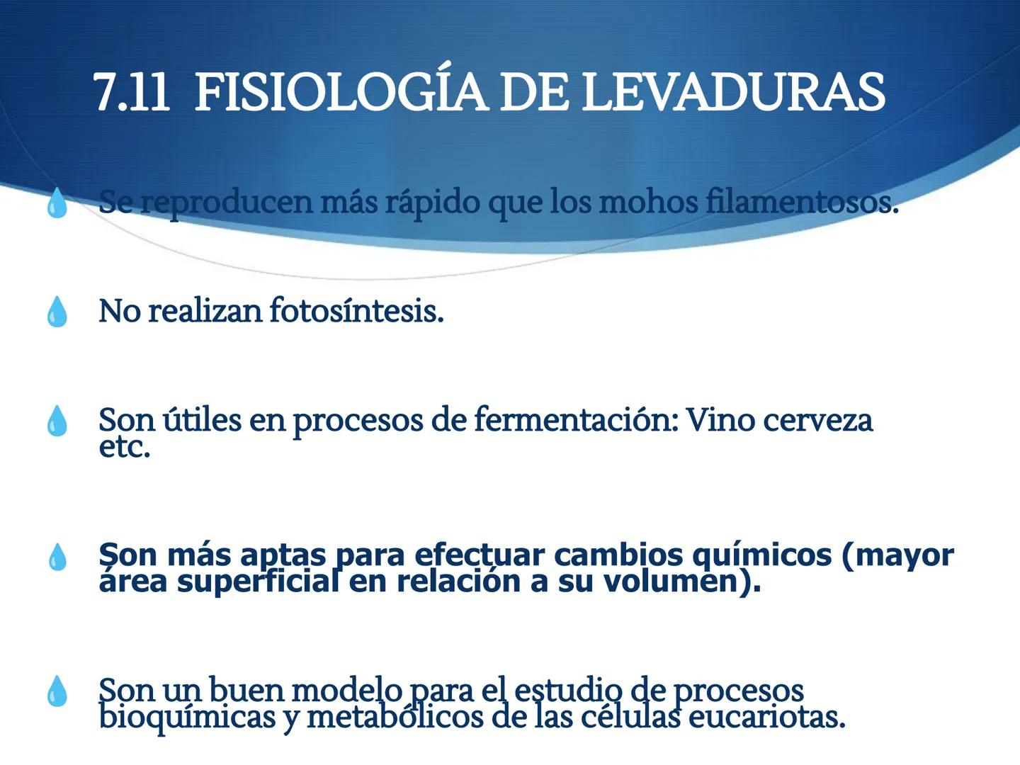 HONGOS
GENERALIDADES DE LOS HONGOS.
MORFOLOGÍA DE LOS HONGOS.
CLASIFICACIÓN DE LOS HONGOS.
NUTRICIÓN Y FISIOLOGÍA DE LOS HONGOS.
REPRODUCCIÓ