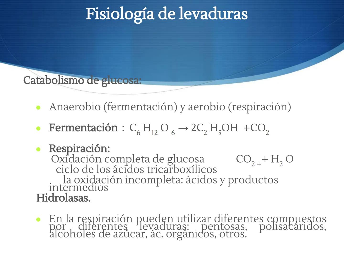HONGOS
GENERALIDADES DE LOS HONGOS.
MORFOLOGÍA DE LOS HONGOS.
CLASIFICACIÓN DE LOS HONGOS.
NUTRICIÓN Y FISIOLOGÍA DE LOS HONGOS.
REPRODUCCIÓ