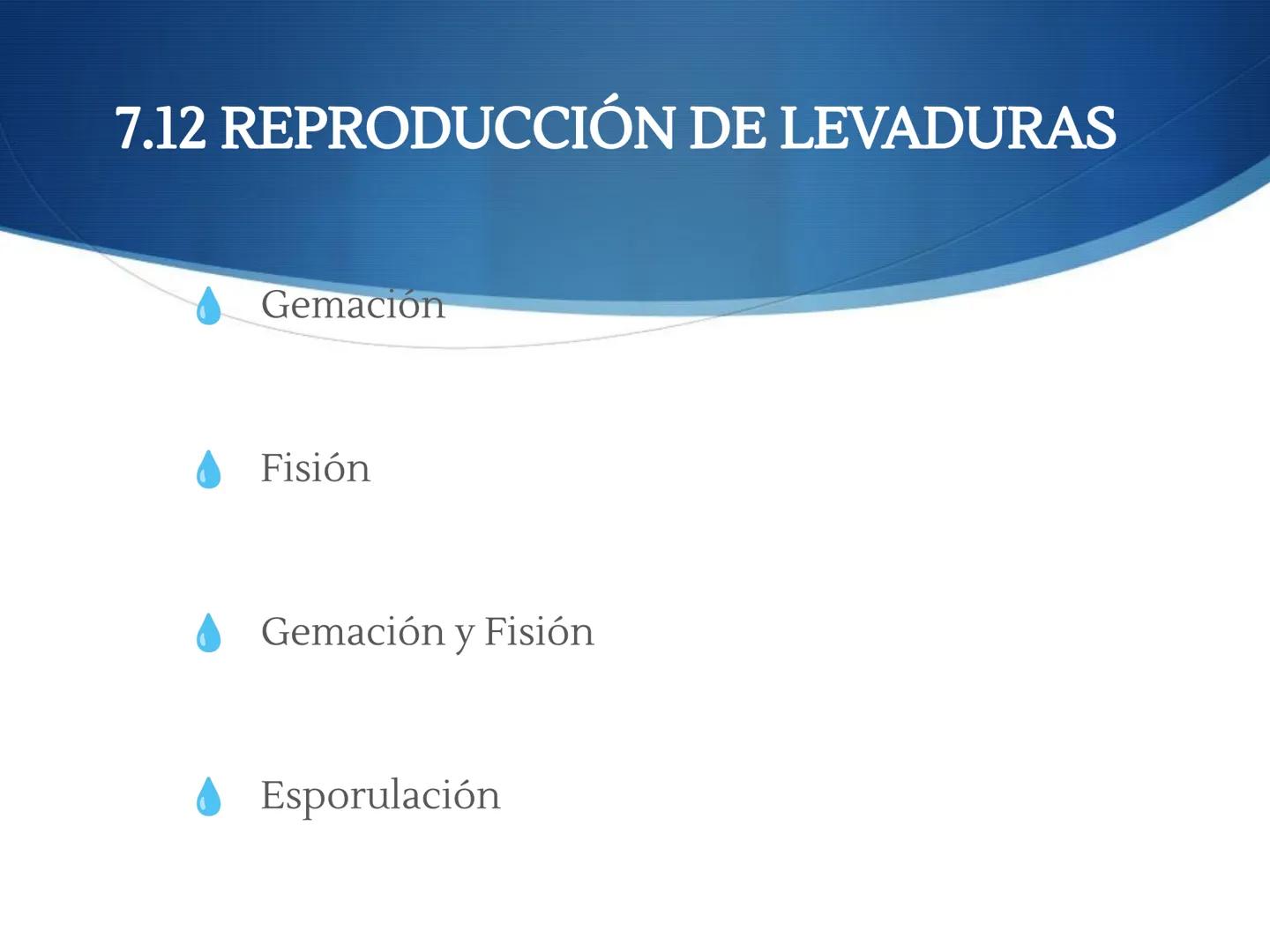 HONGOS
GENERALIDADES DE LOS HONGOS.
MORFOLOGÍA DE LOS HONGOS.
CLASIFICACIÓN DE LOS HONGOS.
NUTRICIÓN Y FISIOLOGÍA DE LOS HONGOS.
REPRODUCCIÓ