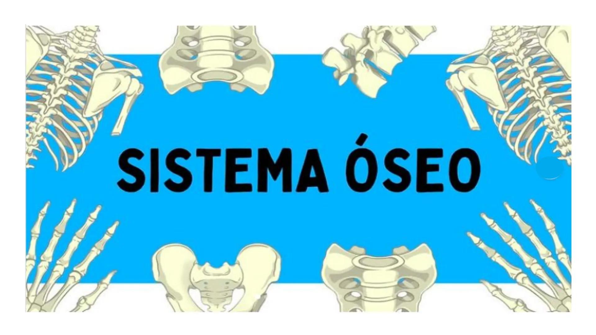# SISTEMA ÓSEO Es una compleja estructura compuesta por los huesos del
esqueleto humano, los cartílagos, los ligamentos y
los tendones.
Cad