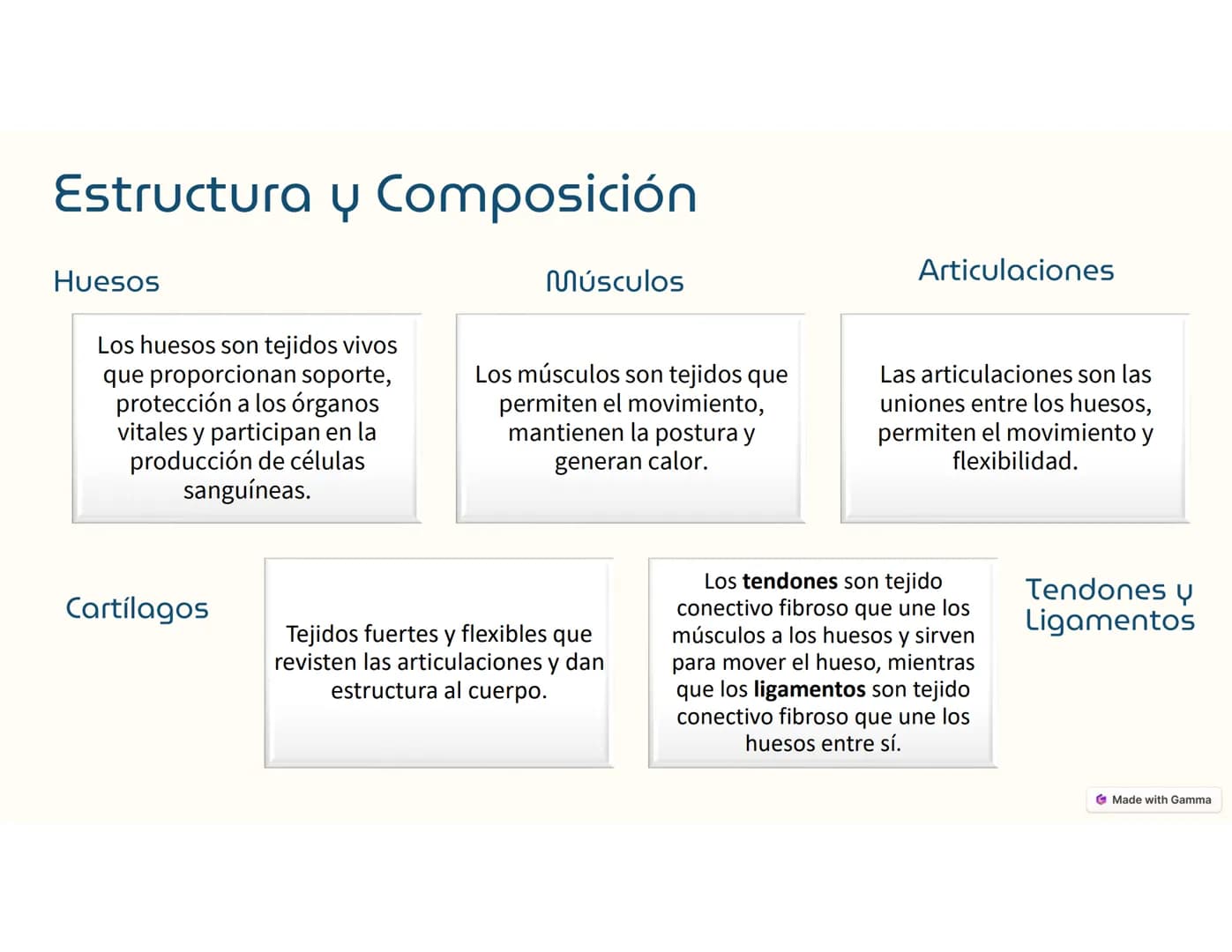 Sistema
Músculo -Esquelético
Ο
El sistema musculoesquelético, o
también llamado sistema locomotor,
es el marco del cuerpo humano.
Está c