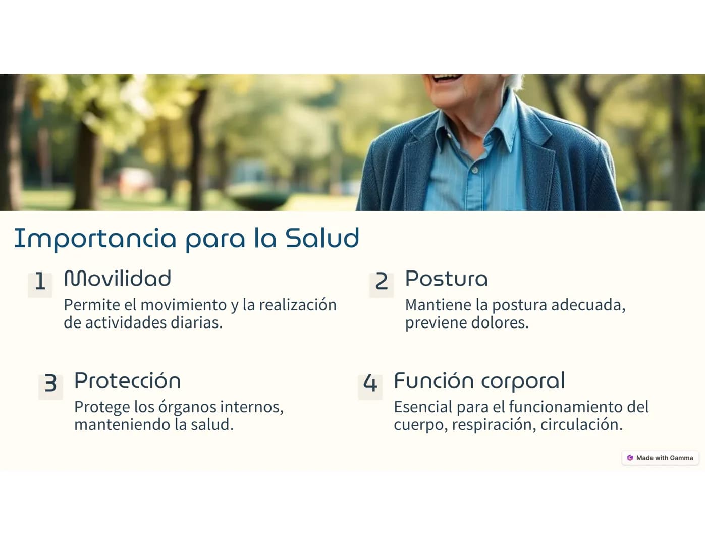 Sistema
Músculo -Esquelético
Ο
El sistema musculoesquelético, o
también llamado sistema locomotor,
es el marco del cuerpo humano.
Está c