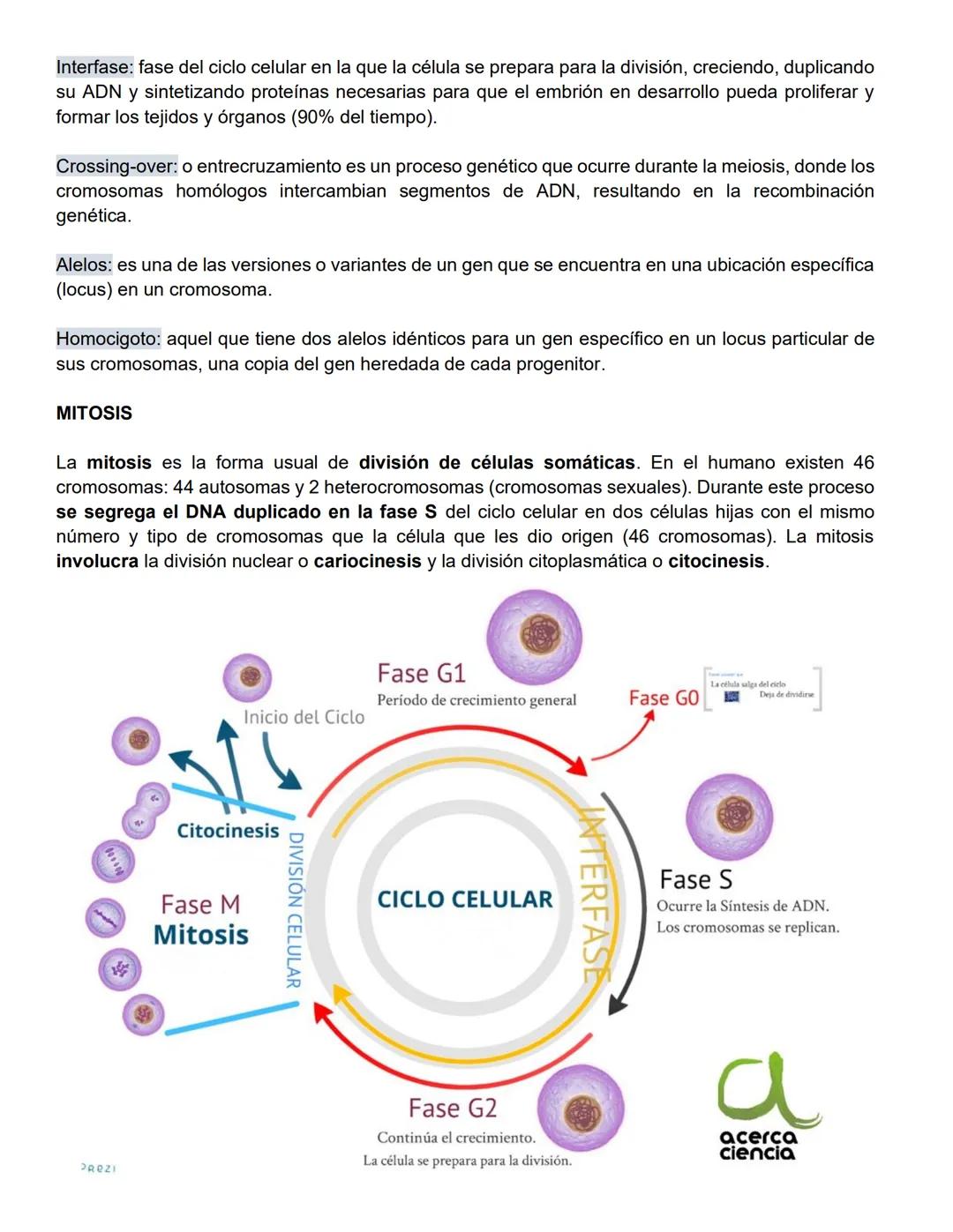 Santiago Lopez Bryan Andryk 1°l
TERMINOLOGIA:
Célula somática: cualquier célula del cuerpo de un organismo que no es una célula germinal (