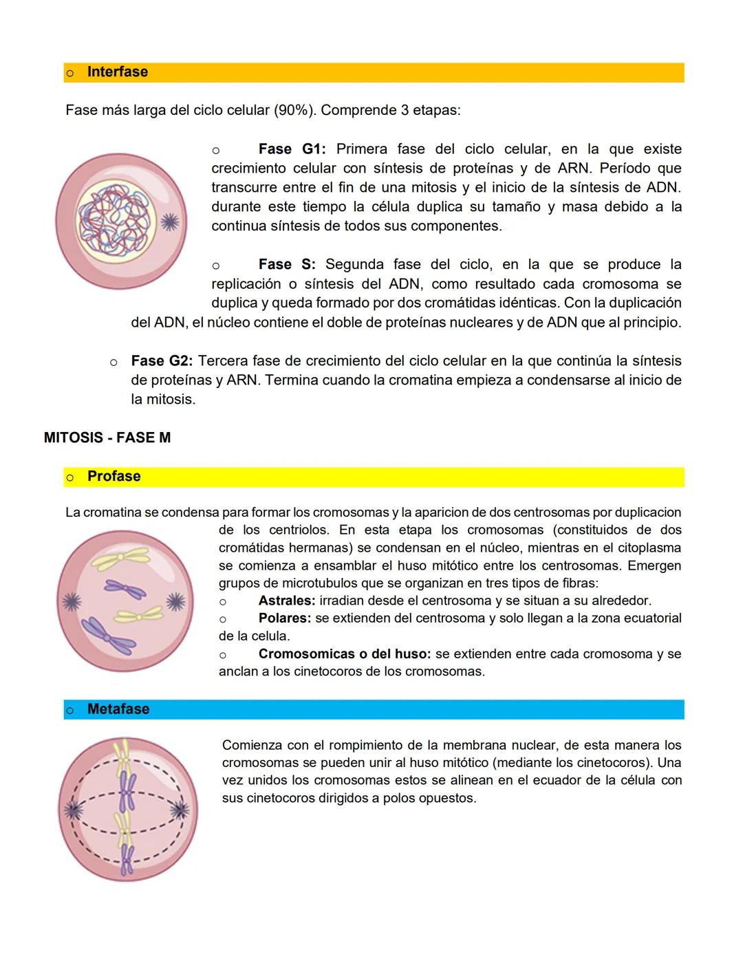 Santiago Lopez Bryan Andryk 1°l
TERMINOLOGIA:
Célula somática: cualquier célula del cuerpo de un organismo que no es una célula germinal (