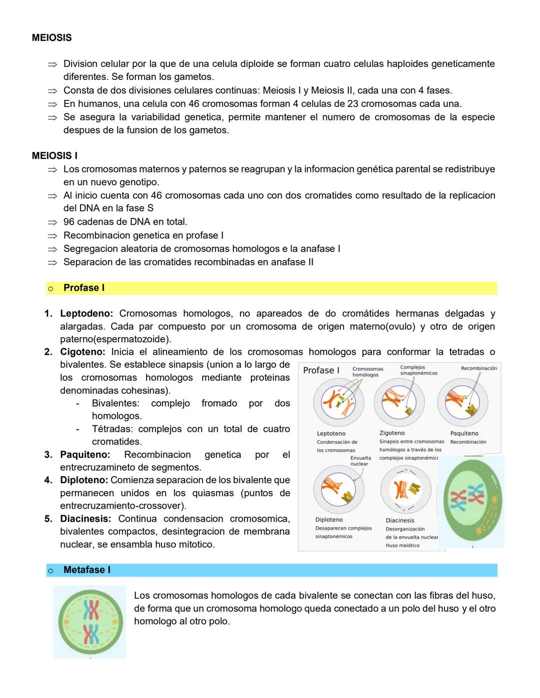 Santiago Lopez Bryan Andryk 1°l
TERMINOLOGIA:
Célula somática: cualquier célula del cuerpo de un organismo que no es una célula germinal (