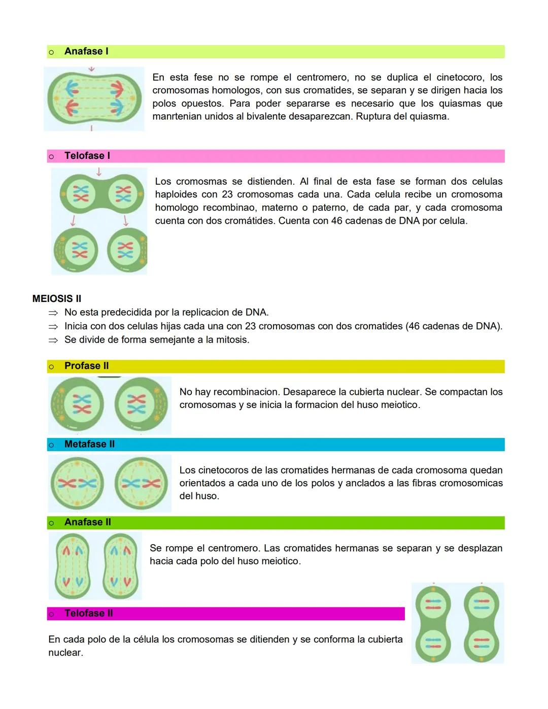 Santiago Lopez Bryan Andryk 1°l
TERMINOLOGIA:
Célula somática: cualquier célula del cuerpo de un organismo que no es una célula germinal (