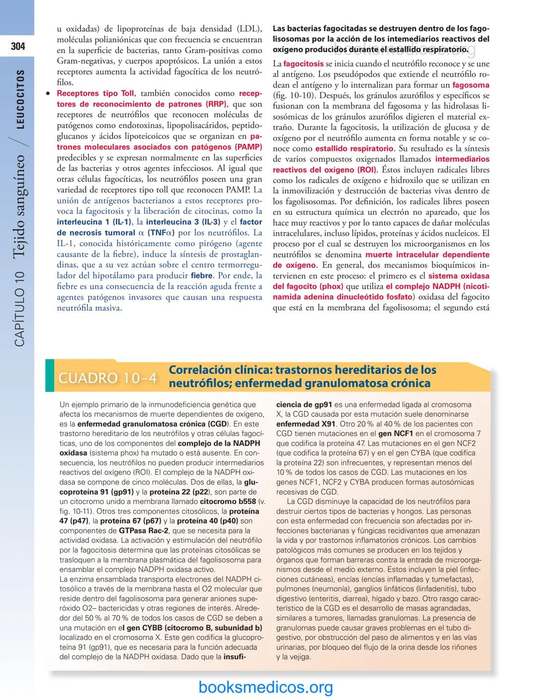 # 10
Tejido sanguíneo
sme
GENERALIDADES DE LA SANGRE/291
PLASMA/292
ERITROCITOS/294
LEUCOCITOS/300
Neutrófilos/300
Eosinófilos/307