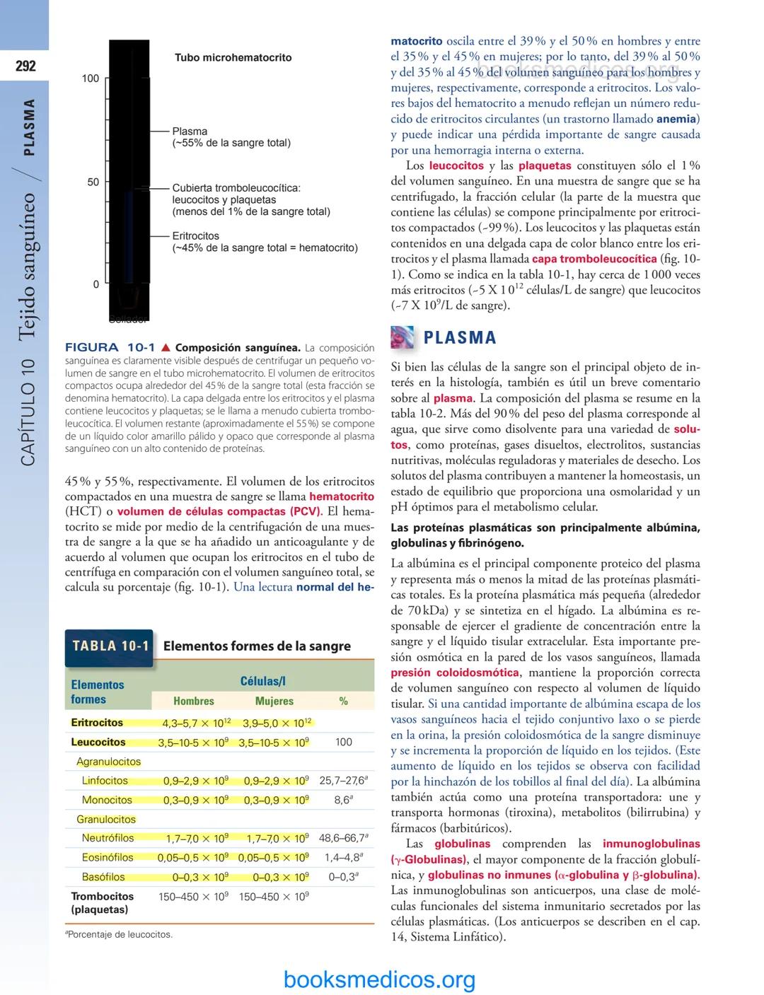 # 10
Tejido sanguíneo
sme
GENERALIDADES DE LA SANGRE/291
PLASMA/292
ERITROCITOS/294
LEUCOCITOS/300
Neutrófilos/300
Eosinófilos/307