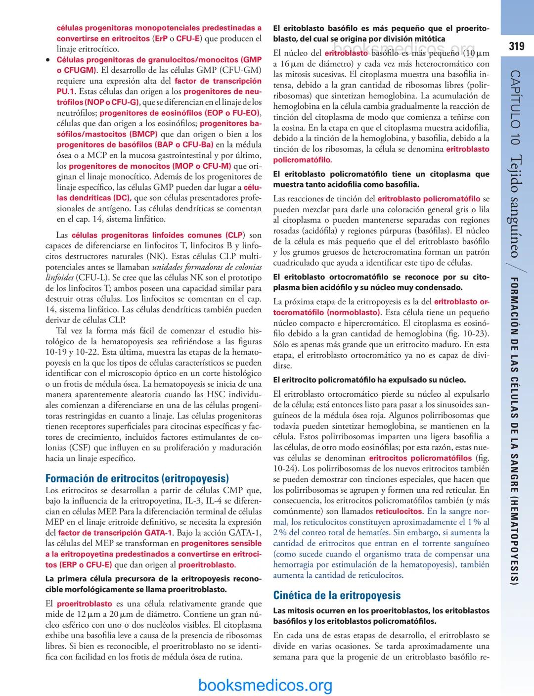 # 10
Tejido sanguíneo
sme
GENERALIDADES DE LA SANGRE/291
PLASMA/292
ERITROCITOS/294
LEUCOCITOS/300
Neutrófilos/300
Eosinófilos/307