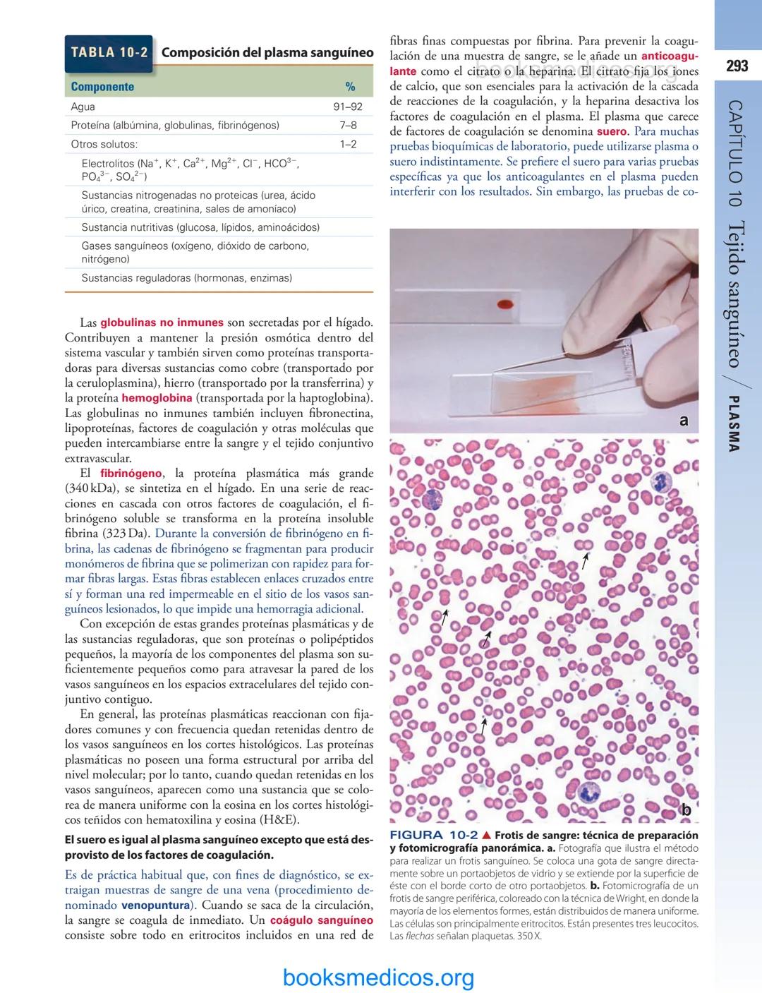 # 10
Tejido sanguíneo
sme
GENERALIDADES DE LA SANGRE/291
PLASMA/292
ERITROCITOS/294
LEUCOCITOS/300
Neutrófilos/300
Eosinófilos/307