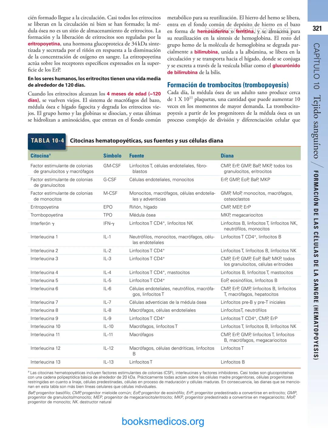 # 10
Tejido sanguíneo
sme
GENERALIDADES DE LA SANGRE/291
PLASMA/292
ERITROCITOS/294
LEUCOCITOS/300
Neutrófilos/300
Eosinófilos/307
