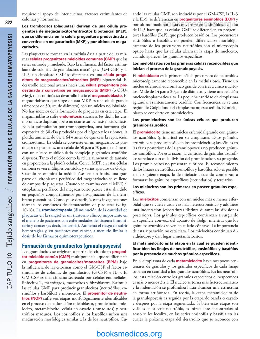 # 10
Tejido sanguíneo
sme
GENERALIDADES DE LA SANGRE/291
PLASMA/292
ERITROCITOS/294
LEUCOCITOS/300
Neutrófilos/300
Eosinófilos/307