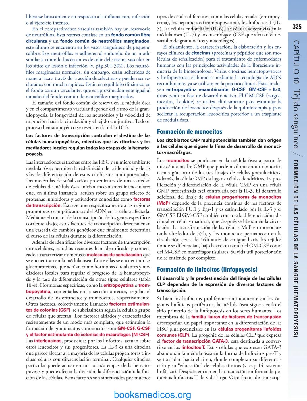 # 10
Tejido sanguíneo
sme
GENERALIDADES DE LA SANGRE/291
PLASMA/292
ERITROCITOS/294
LEUCOCITOS/300
Neutrófilos/300
Eosinófilos/307