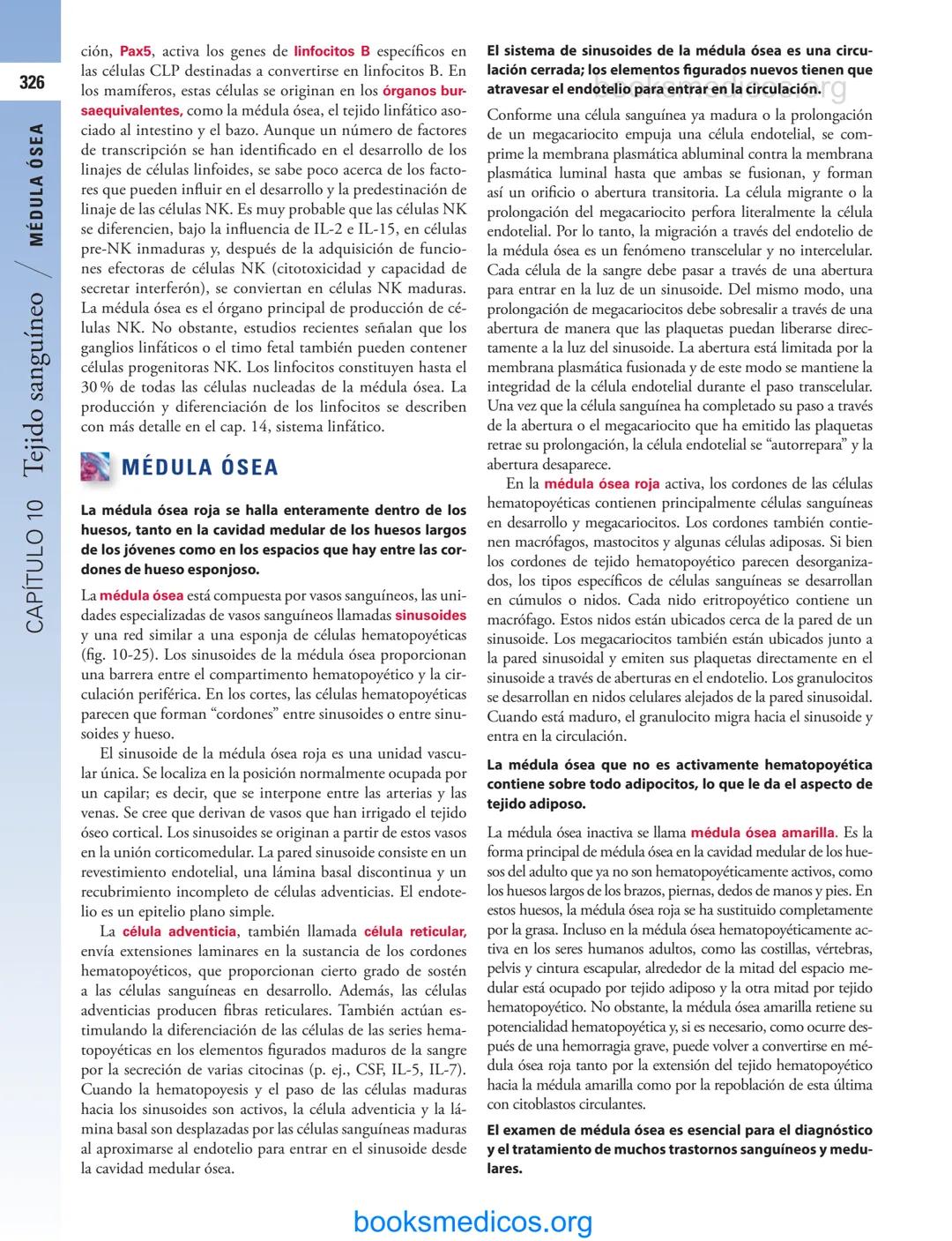 # 10
Tejido sanguíneo
sme
GENERALIDADES DE LA SANGRE/291
PLASMA/292
ERITROCITOS/294
LEUCOCITOS/300
Neutrófilos/300
Eosinófilos/307