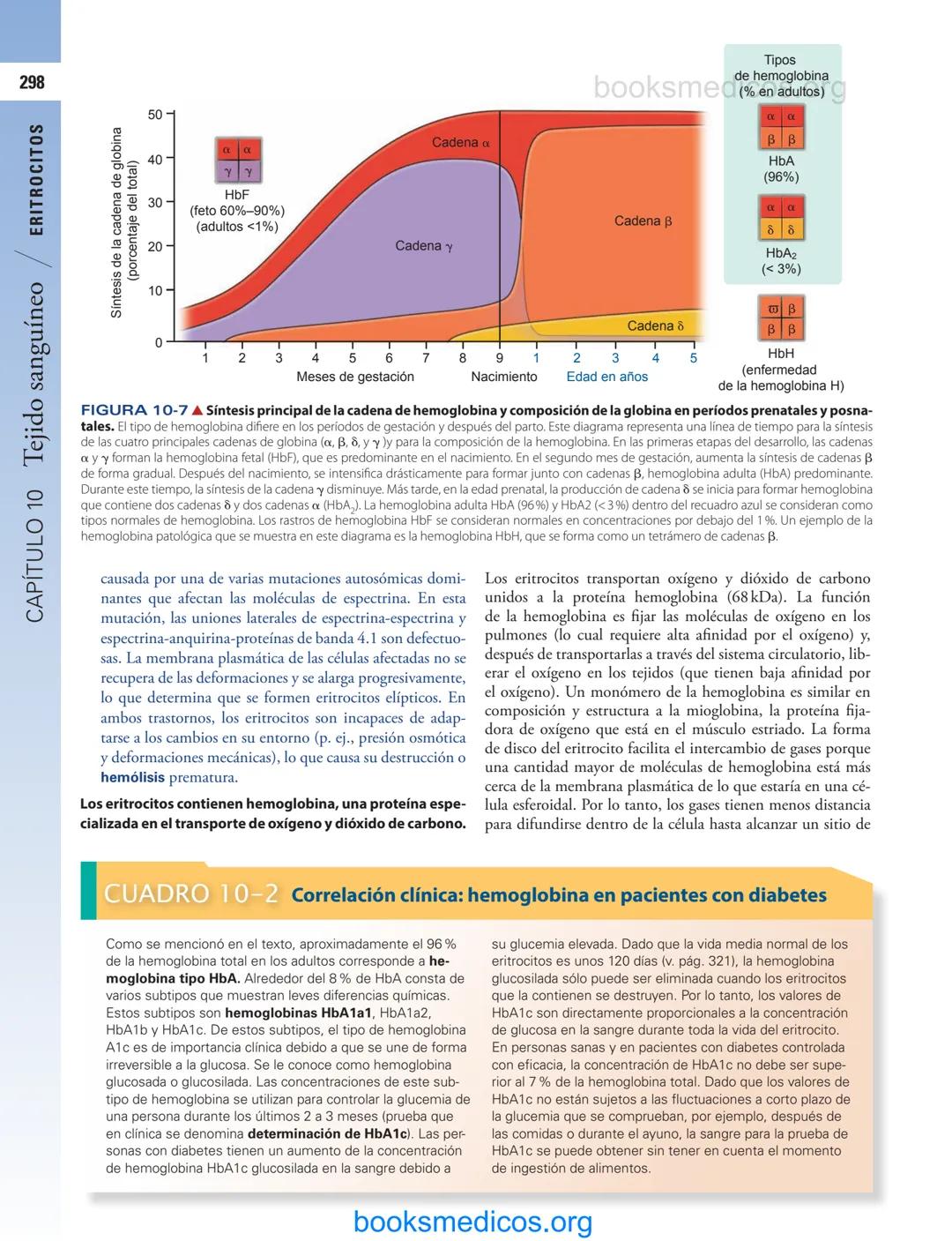 # 10
Tejido sanguíneo
sme
GENERALIDADES DE LA SANGRE/291
PLASMA/292
ERITROCITOS/294
LEUCOCITOS/300
Neutrófilos/300
Eosinófilos/307