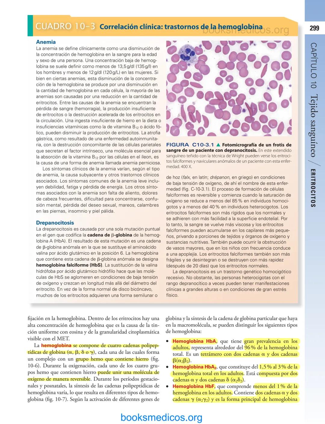 # 10
Tejido sanguíneo
sme
GENERALIDADES DE LA SANGRE/291
PLASMA/292
ERITROCITOS/294
LEUCOCITOS/300
Neutrófilos/300
Eosinófilos/307