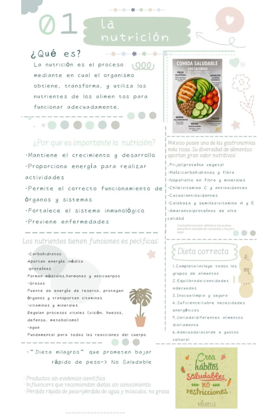 01
la
nutrición
¿Qué es?
La nutrición es el proceso 10le
mediante en cual el organismo
obtiene, transforma, y utiliza los
nutrientes de los