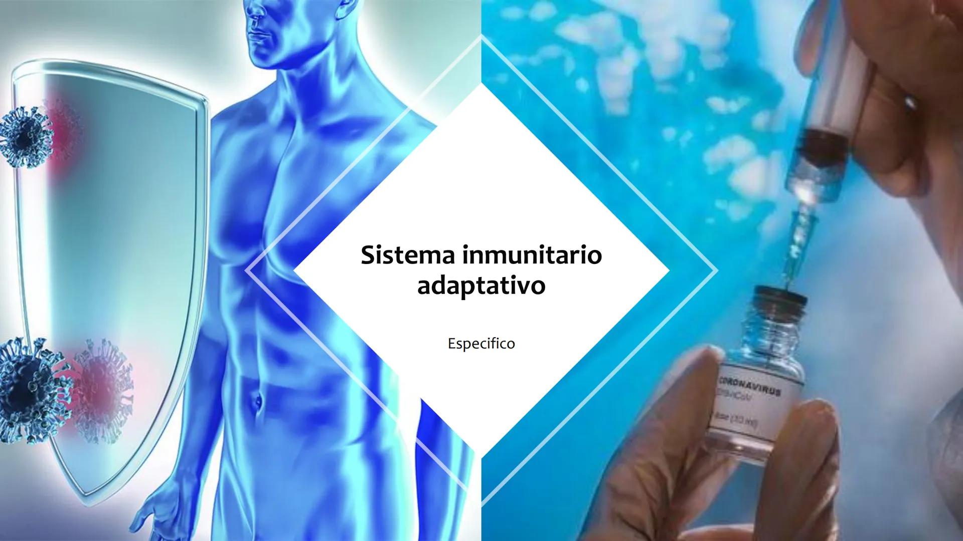 Sistema inmunitario
adaptativo
Específico # Objetivos
• Conocer la respuesta inmune
adaptativa en términos celulares
(línea linfoide)
- L