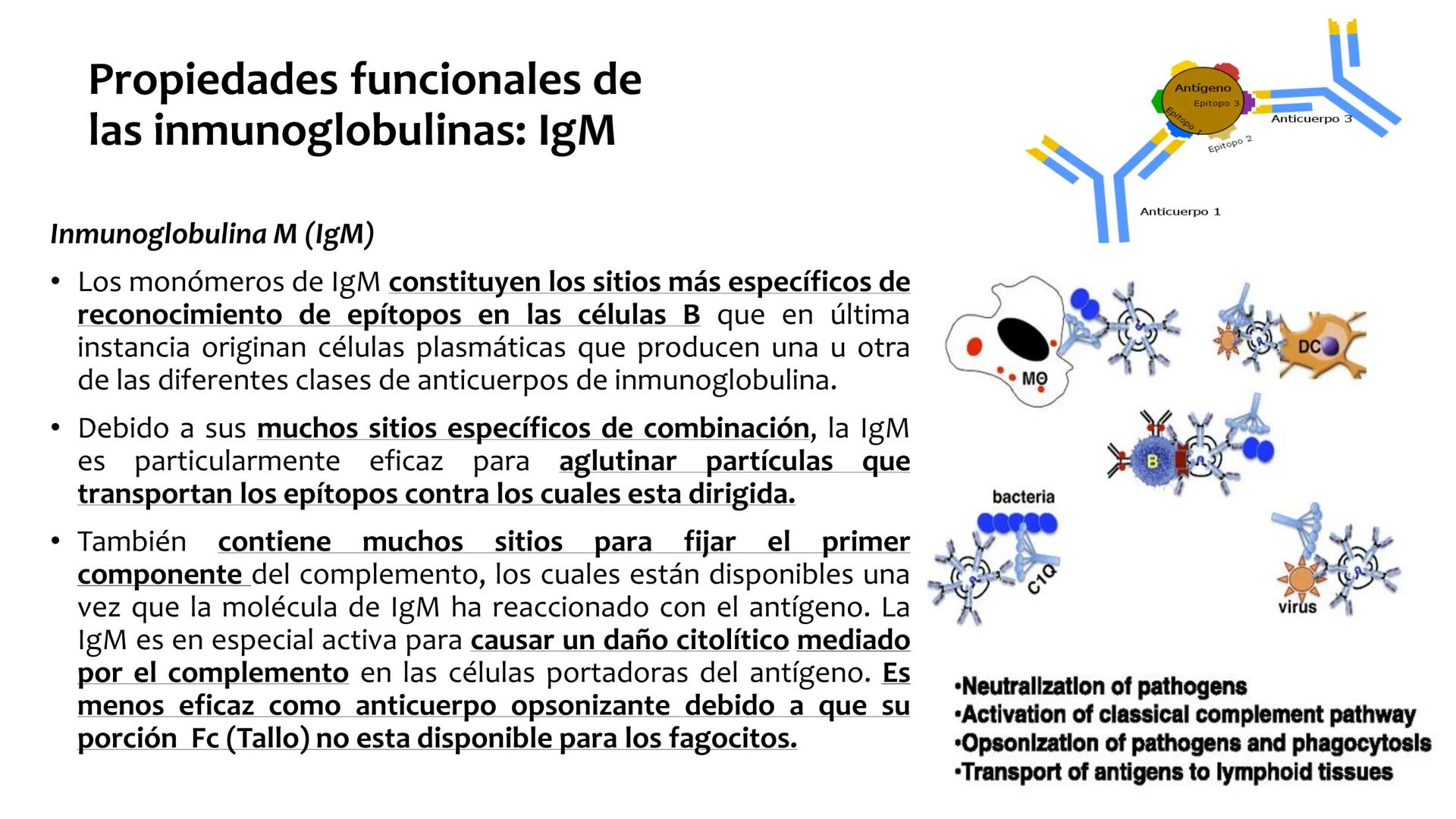 Sistema inmunitario
adaptativo
Específico # Objetivos
• Conocer la respuesta inmune
adaptativa en términos celulares
(línea linfoide)
- L