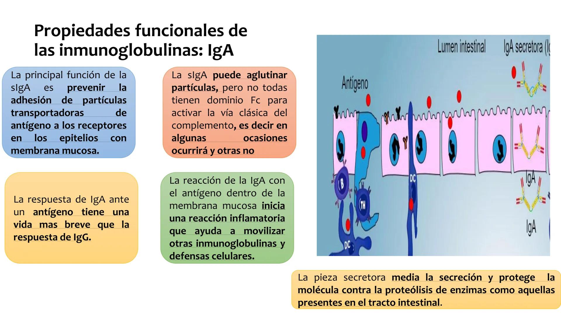 Sistema inmunitario
adaptativo
Específico # Objetivos
• Conocer la respuesta inmune
adaptativa en términos celulares
(línea linfoide)
- L