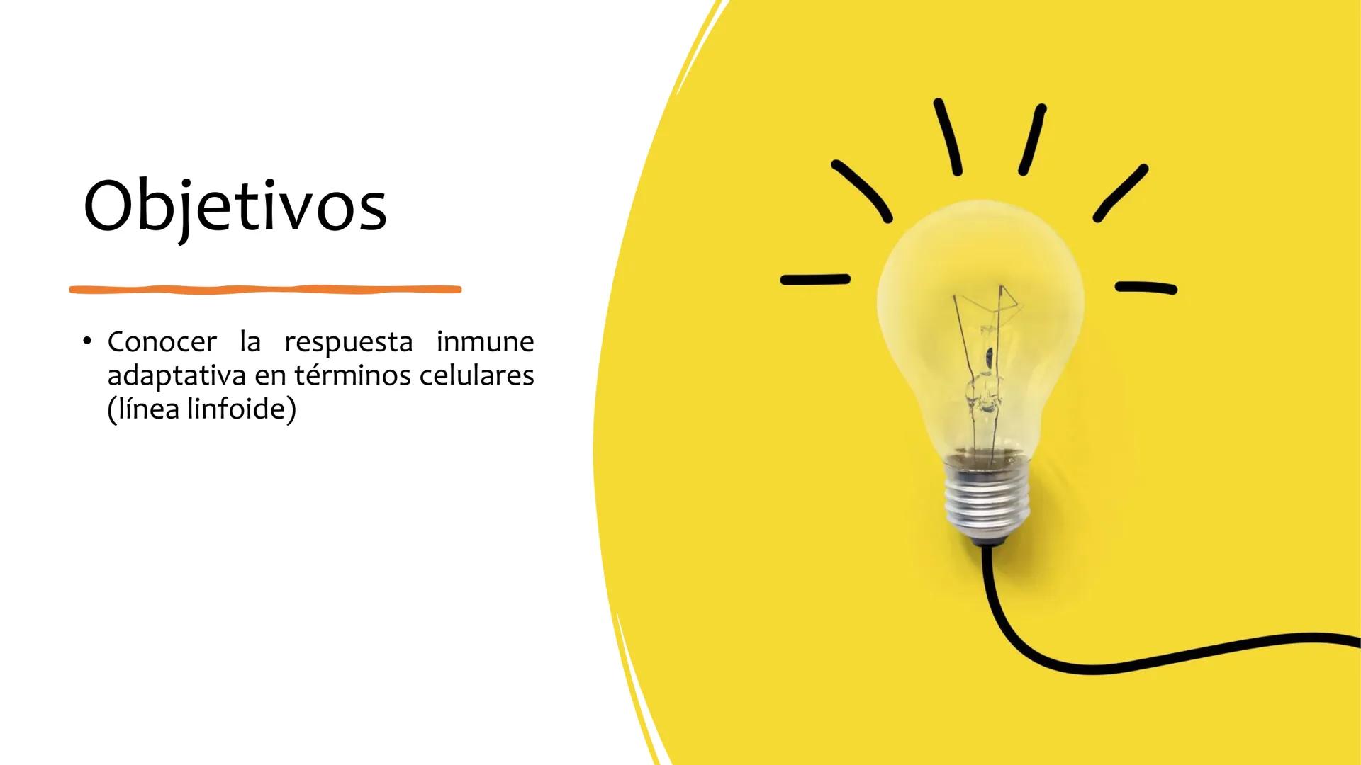 Sistema inmunitario
adaptativo
Específico # Objetivos
• Conocer la respuesta inmune
adaptativa en términos celulares
(línea linfoide)
- L