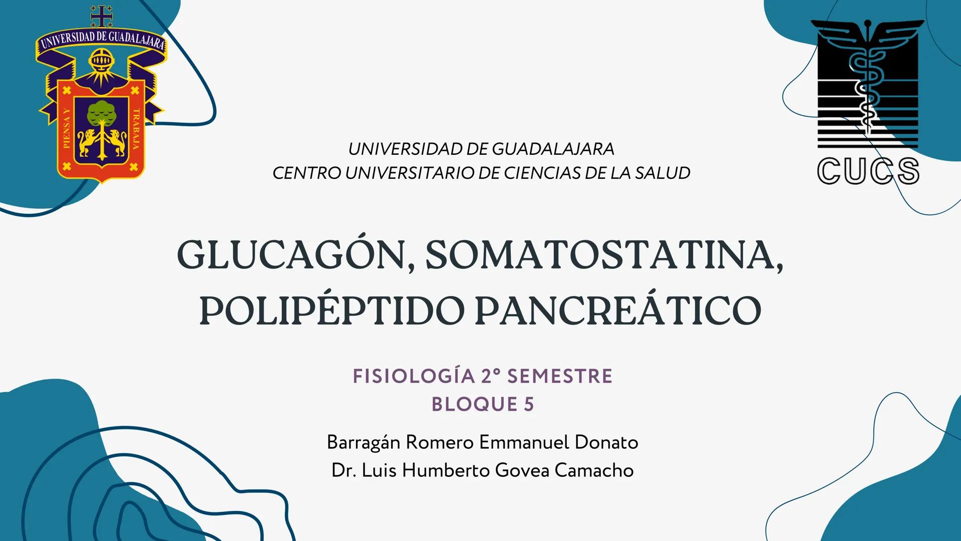 UNIVERSIDAD DE GUADALAJARA
* PIENSA Y
*
TRABAJA
*
UNIVERSIDAD DE GUADALAJARA
CENTRO UNIVERSITARIO DE CIENCIAS DE LA SALUD
CUCS
GLUCAGÓN, SOM