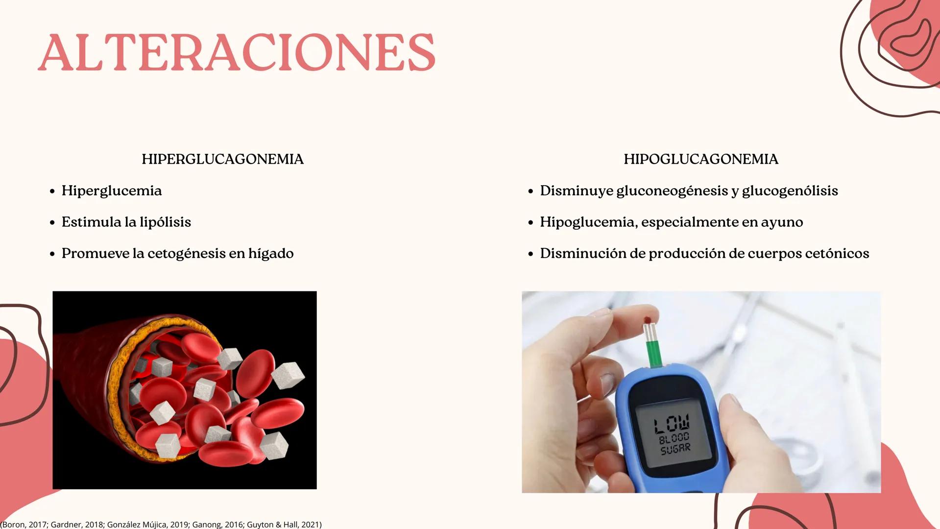 UNIVERSIDAD DE GUADALAJARA
* PIENSA Y
*
TRABAJA
*
UNIVERSIDAD DE GUADALAJARA
CENTRO UNIVERSITARIO DE CIENCIAS DE LA SALUD
CUCS
GLUCAGÓN, SOM