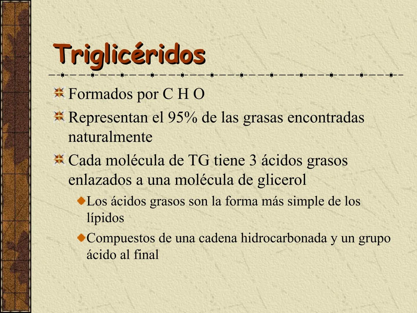 ---
- UNIDAD IV: LIPIDOS
---
-----
En esta unidad se estudia a los lípidos o grasas debido a su aporte
energético al organismo y por colabor