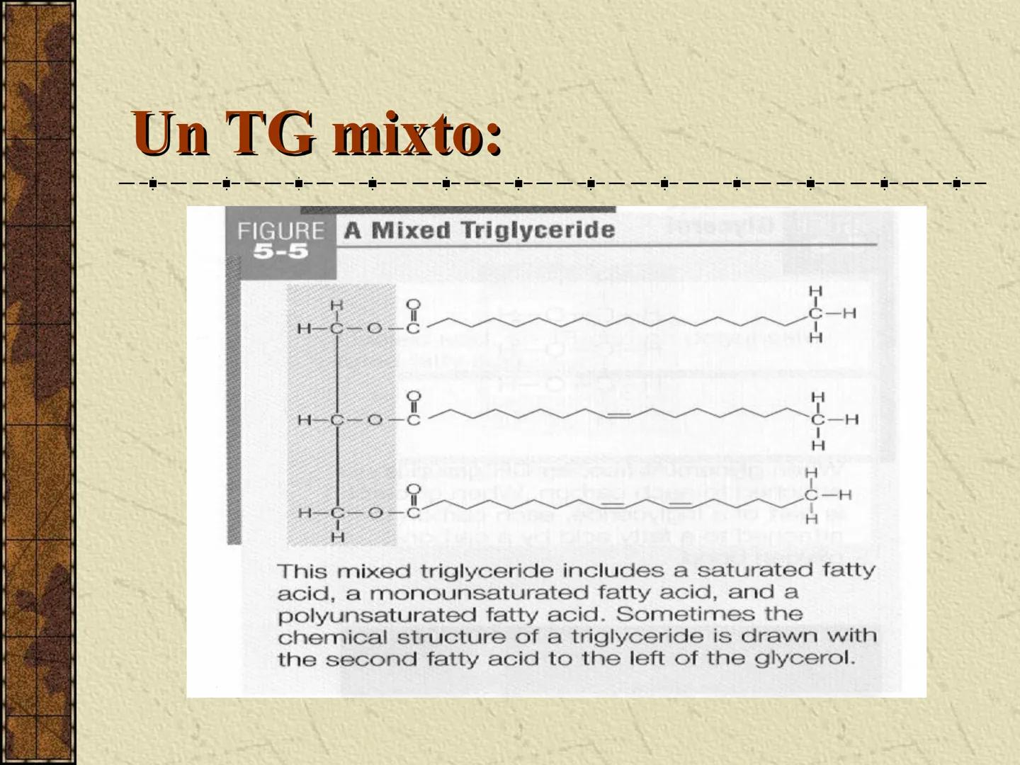 ---
- UNIDAD IV: LIPIDOS
---
-----
En esta unidad se estudia a los lípidos o grasas debido a su aporte
energético al organismo y por colabor