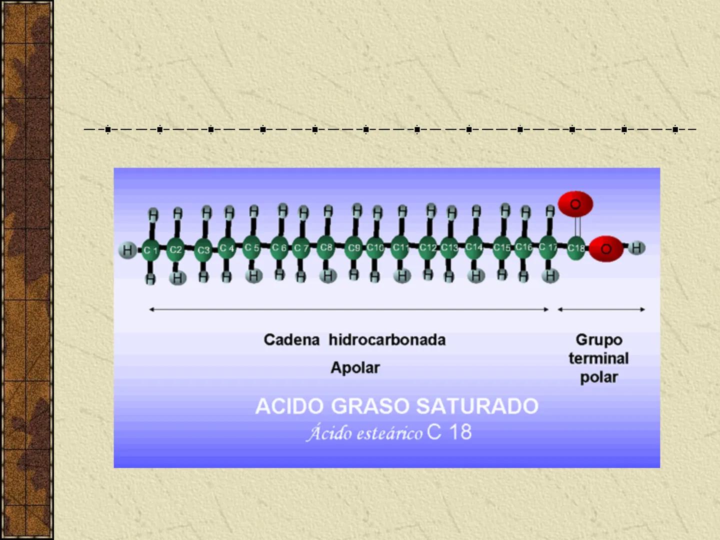 ---
- UNIDAD IV: LIPIDOS
---
-----
En esta unidad se estudia a los lípidos o grasas debido a su aporte
energético al organismo y por colabor