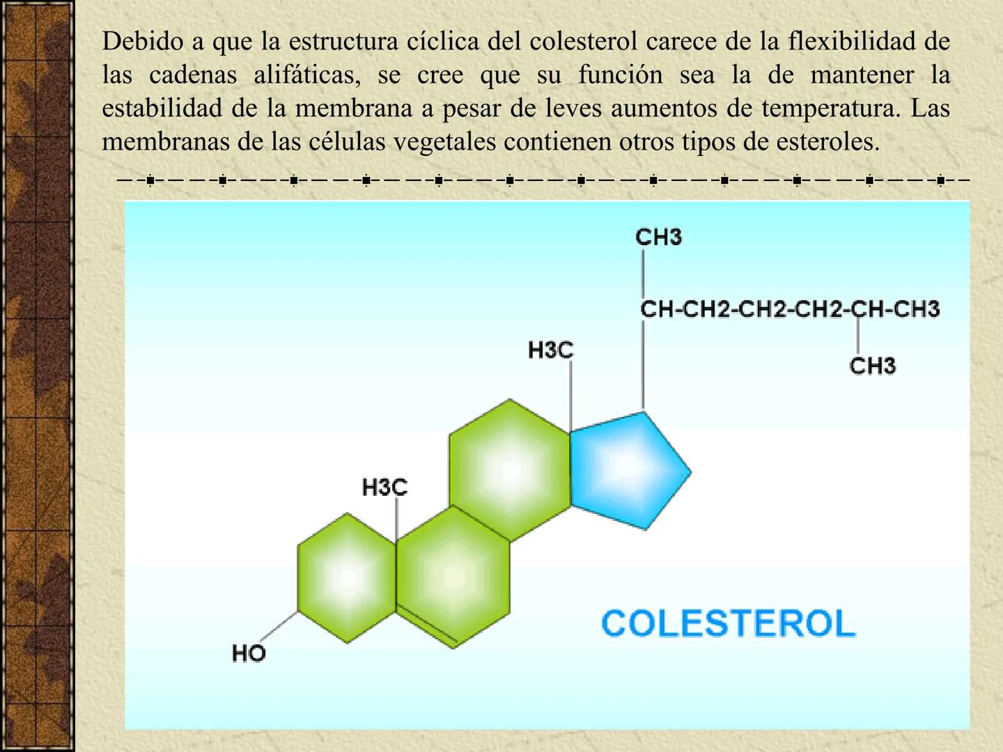 ---
- UNIDAD IV: LIPIDOS
---
-----
En esta unidad se estudia a los lípidos o grasas debido a su aporte
energético al organismo y por colabor