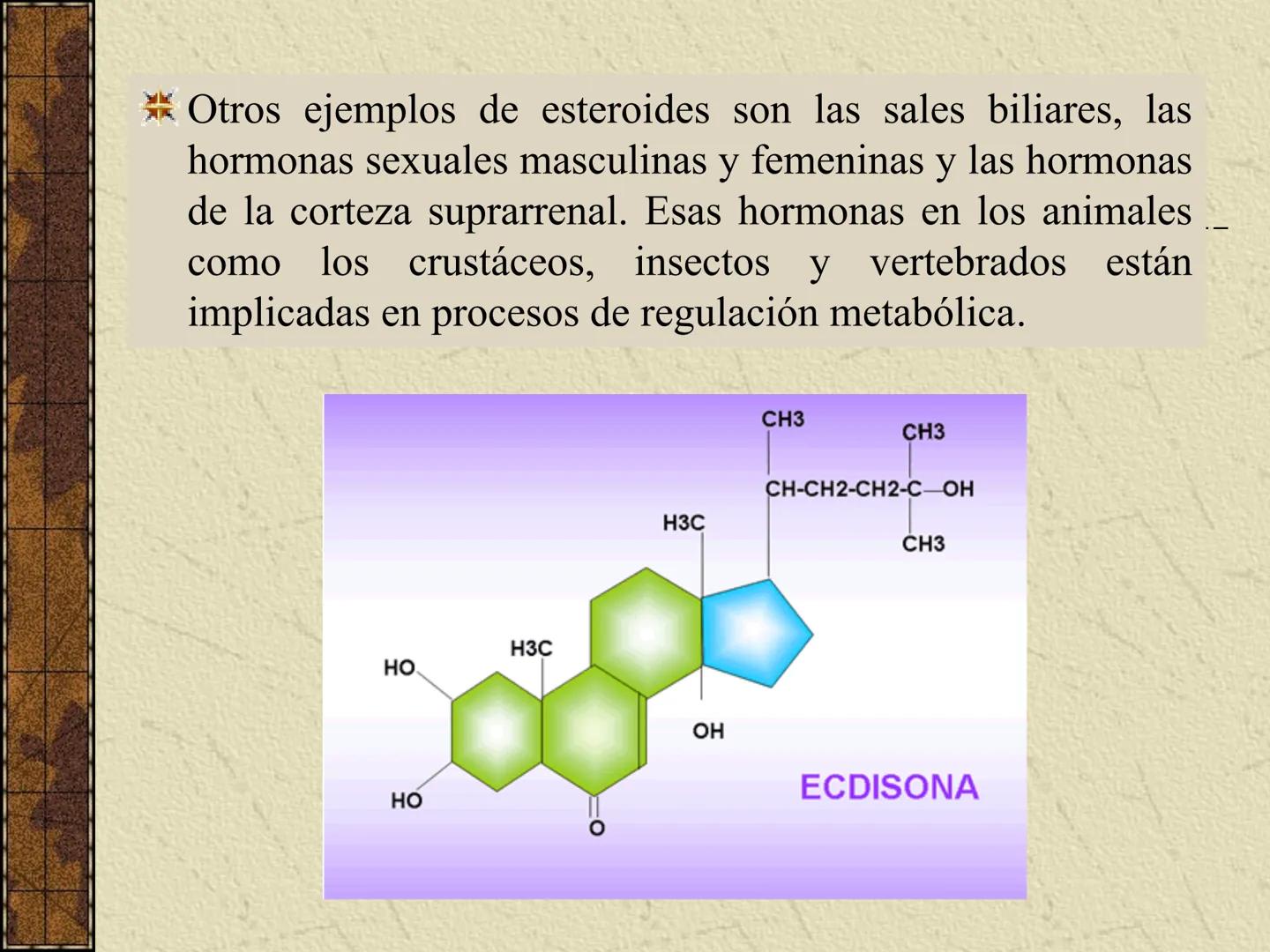 ---
- UNIDAD IV: LIPIDOS
---
-----
En esta unidad se estudia a los lípidos o grasas debido a su aporte
energético al organismo y por colabor
