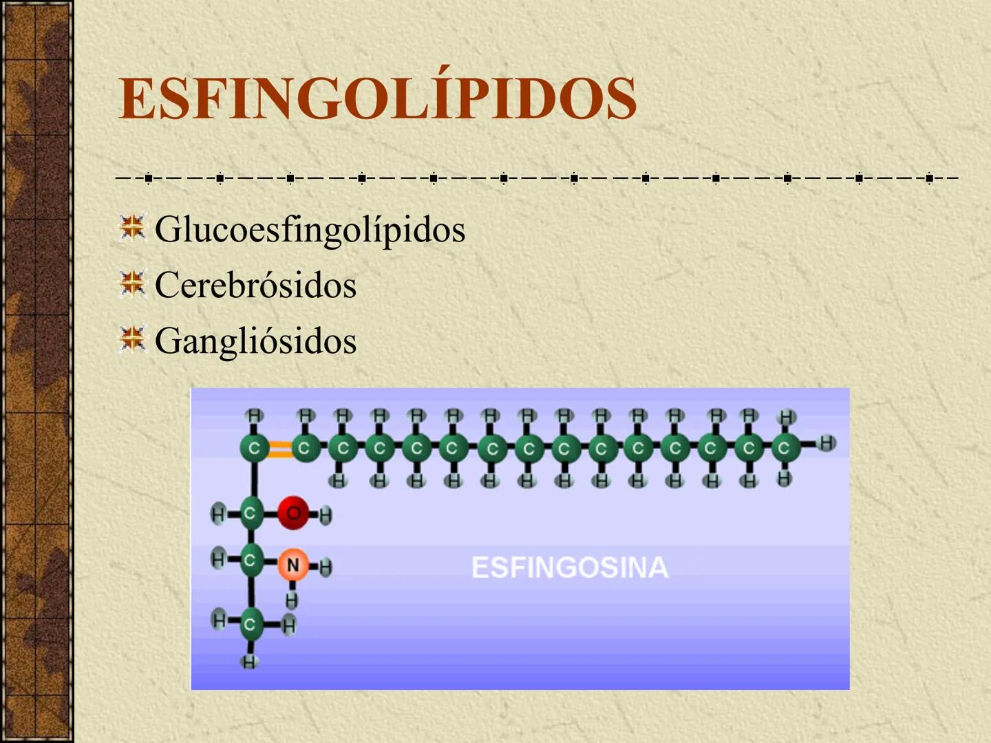 ---
- UNIDAD IV: LIPIDOS
---
-----
En esta unidad se estudia a los lípidos o grasas debido a su aporte
energético al organismo y por colabor