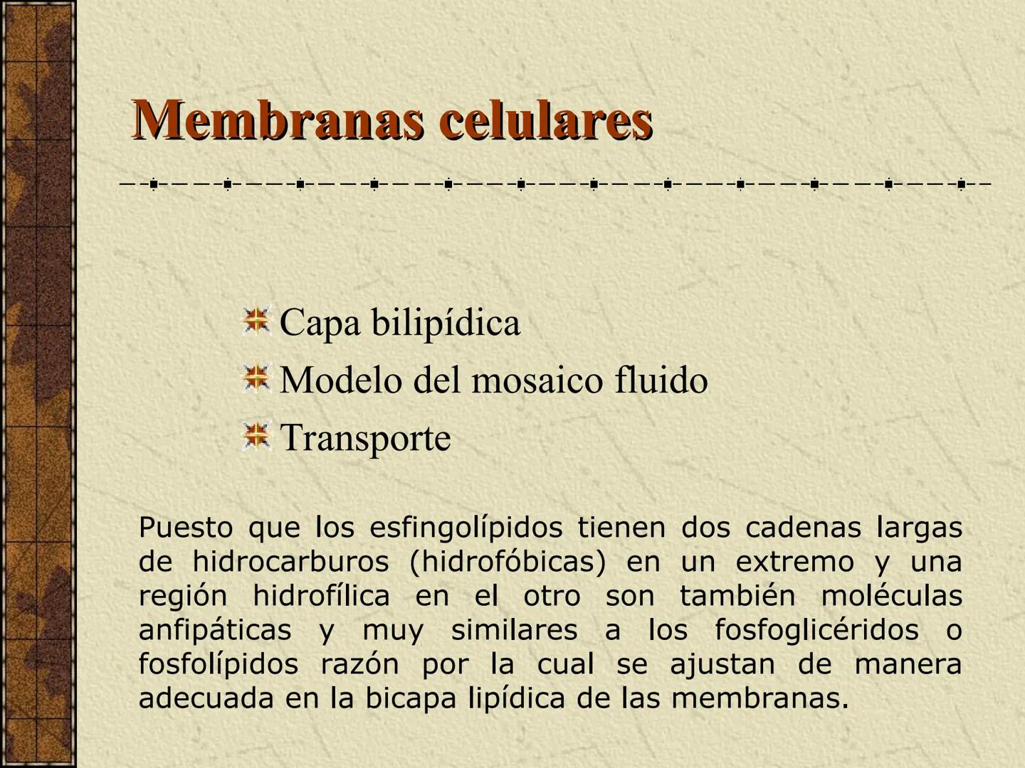---
- UNIDAD IV: LIPIDOS
---
-----
En esta unidad se estudia a los lípidos o grasas debido a su aporte
energético al organismo y por colabor