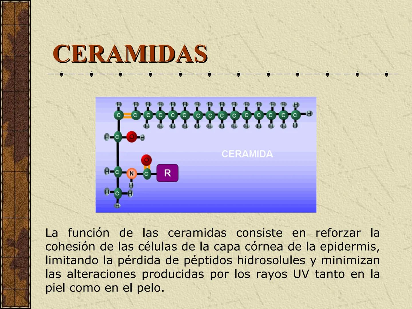 ---
- UNIDAD IV: LIPIDOS
---
-----
En esta unidad se estudia a los lípidos o grasas debido a su aporte
energético al organismo y por colabor