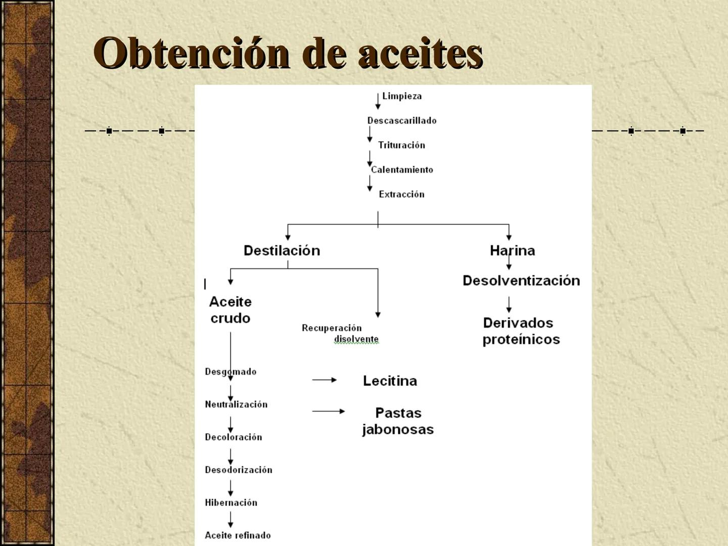 ---
- UNIDAD IV: LIPIDOS
---
-----
En esta unidad se estudia a los lípidos o grasas debido a su aporte
energético al organismo y por colabor