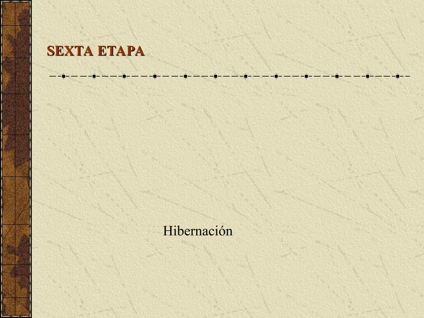 ---
- UNIDAD IV: LIPIDOS
---
-----
En esta unidad se estudia a los lípidos o grasas debido a su aporte
energético al organismo y por colabor