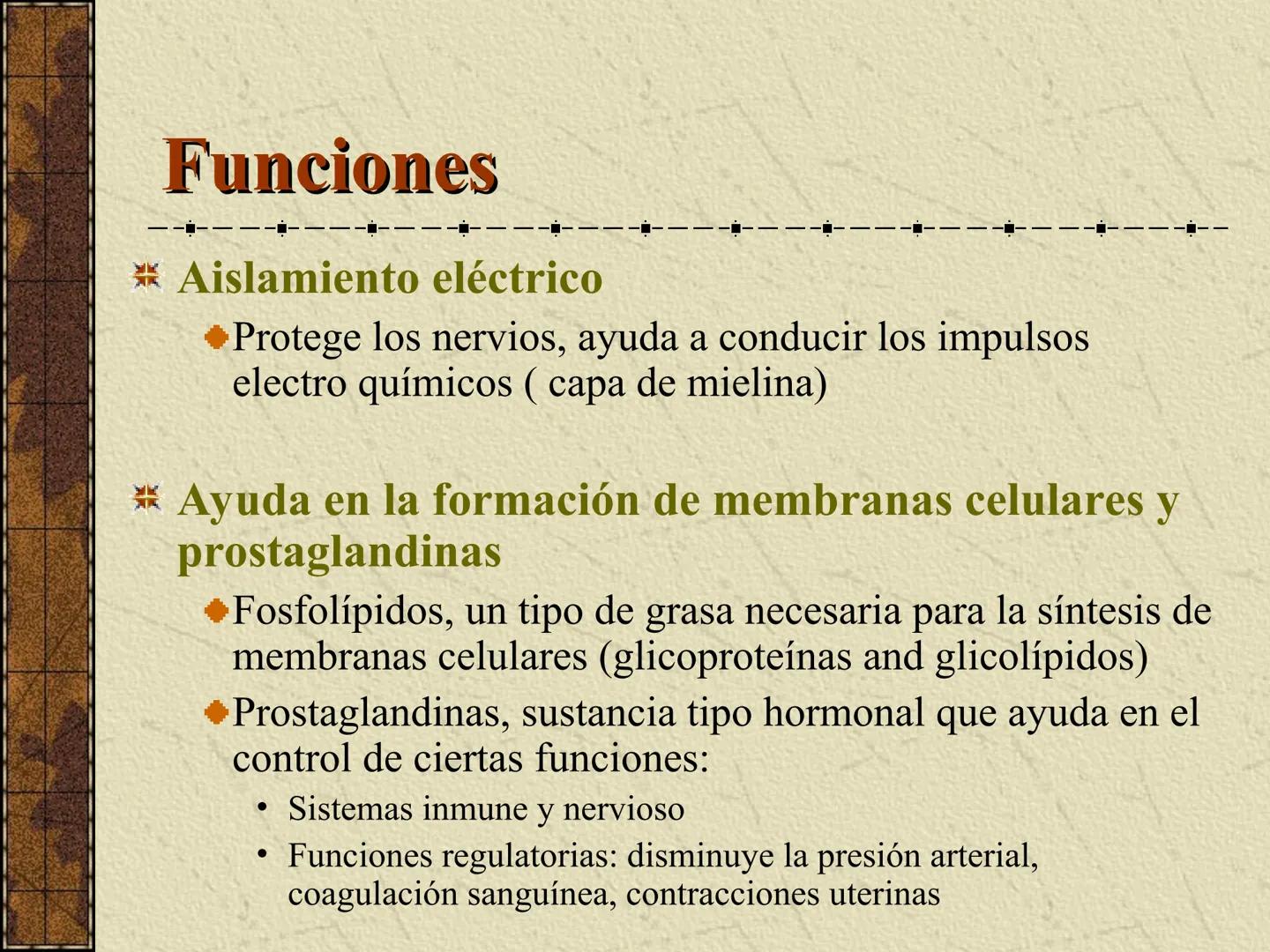---
- UNIDAD IV: LIPIDOS
---
-----
En esta unidad se estudia a los lípidos o grasas debido a su aporte
energético al organismo y por colabor