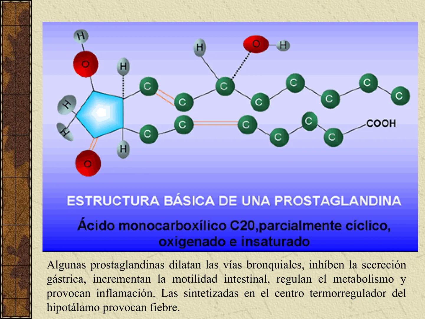 ---
- UNIDAD IV: LIPIDOS
---
-----
En esta unidad se estudia a los lípidos o grasas debido a su aporte
energético al organismo y por colabor