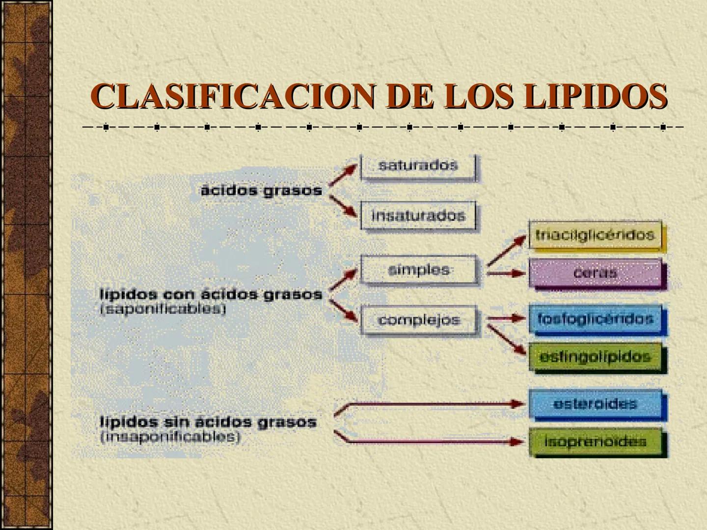 ---
- UNIDAD IV: LIPIDOS
---
-----
En esta unidad se estudia a los lípidos o grasas debido a su aporte
energético al organismo y por colabor