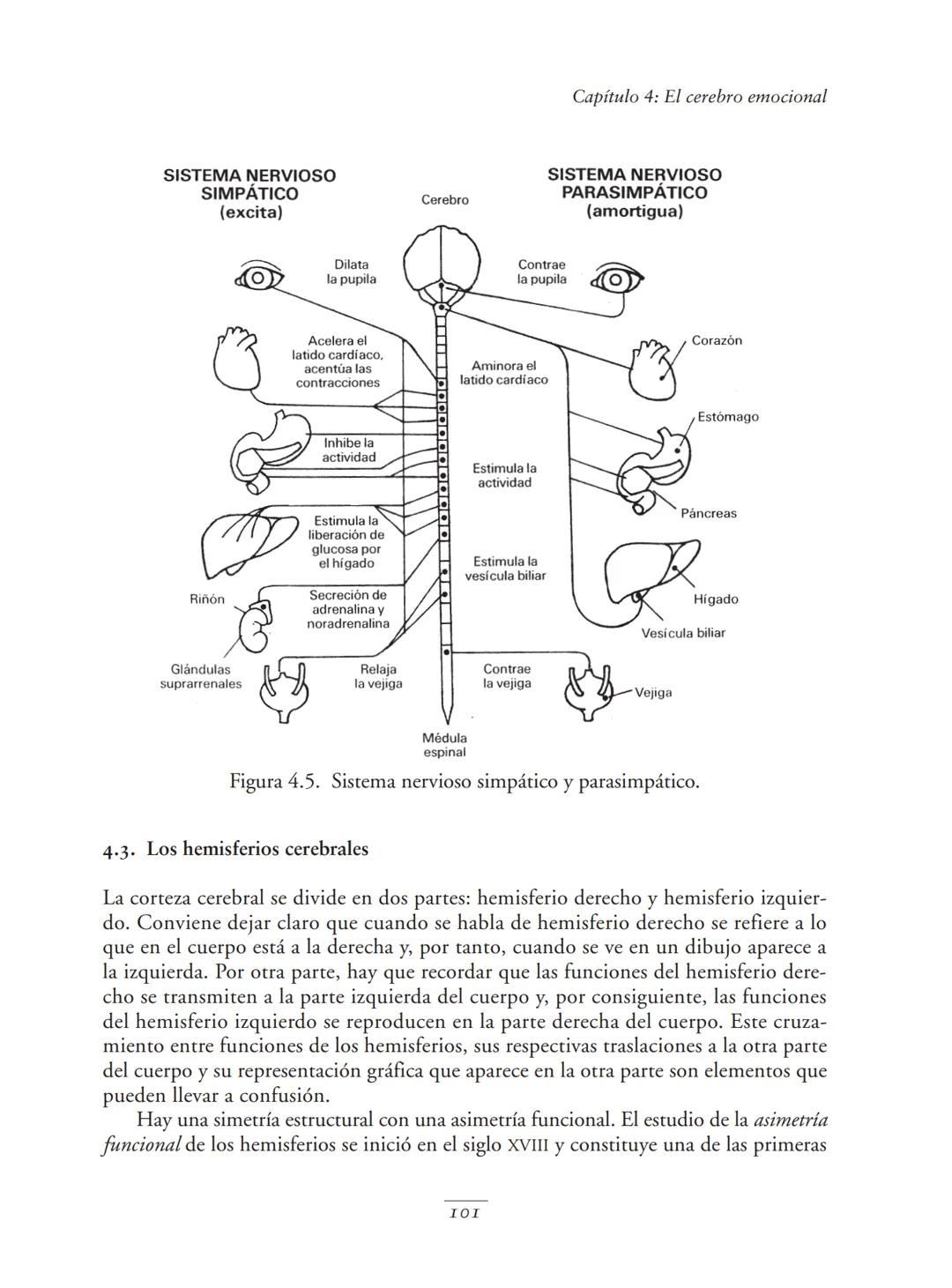 Psicopedagogía de las emociones
Como ya se ha expuesto, al elaborar una clasificación de emociones hay que tomar
decisiones, que siempre va