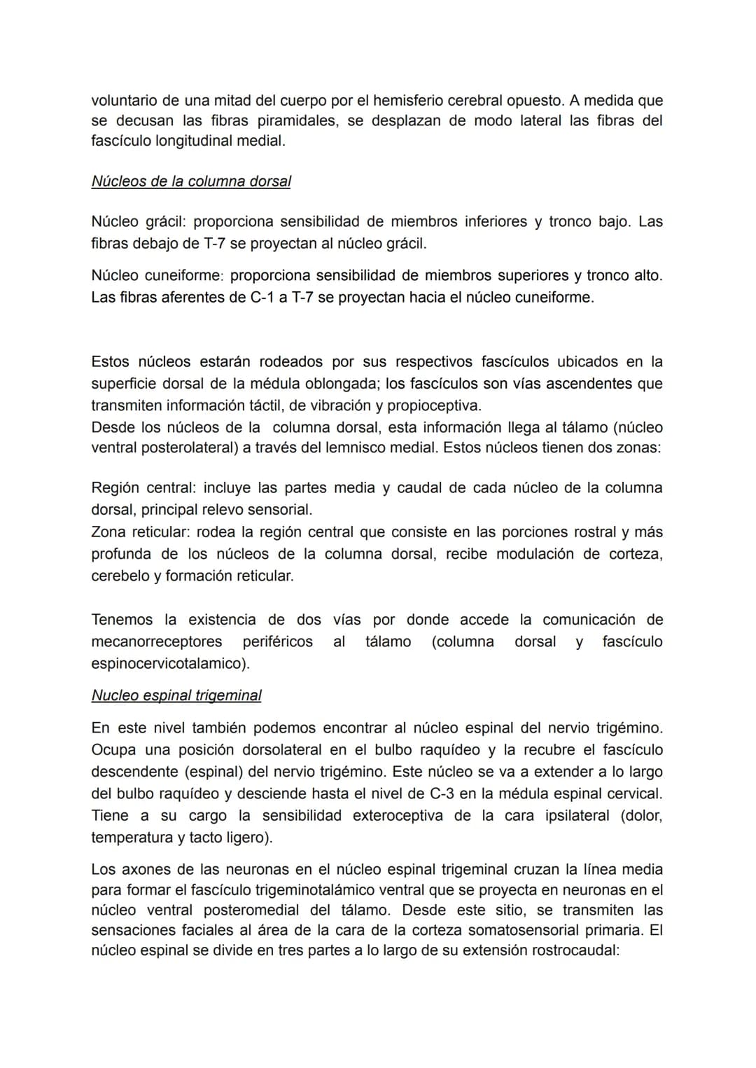 # BULBO RAQUÍDEO
También conocido como bulbo o médula oblonga, es la continuación hacia arriba de la
médula espinal, se encuentra en la par