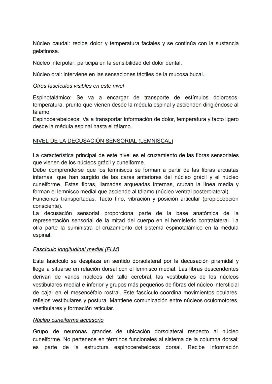 # BULBO RAQUÍDEO
También conocido como bulbo o médula oblonga, es la continuación hacia arriba de la
médula espinal, se encuentra en la par