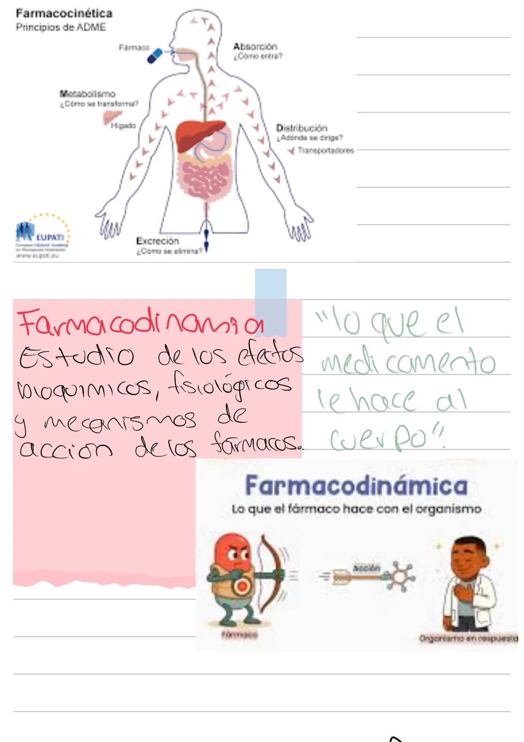 # Farmacologia farmacologia - Del griego.
farmacon = droga/medicamento
logos = tratado estudio
Estudio o tratado
de las drogas o
medicamen