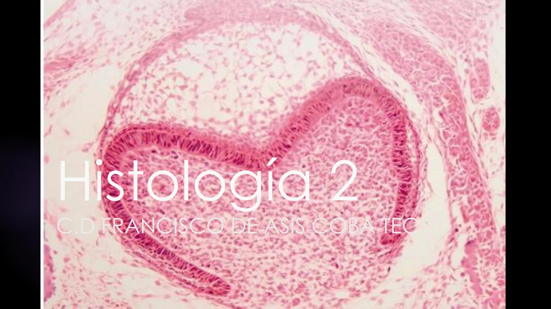 # Histología 2
C.D. FRANCISCO DE ASIS COBA TEC HUESO
► es el tejido
conjuntivo duro
y calcifica do
que integra el
esqueleto. - Los huesos