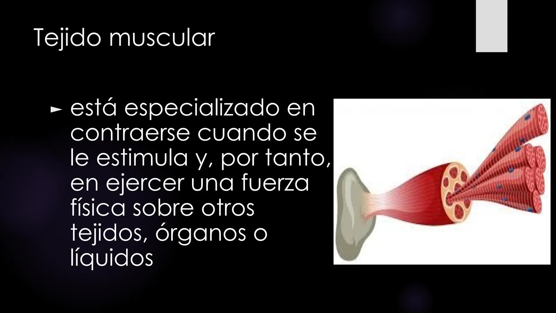 # Histología 2
C.D. FRANCISCO DE ASIS COBA TEC HUESO
► es el tejido
conjuntivo duro
y calcifica do
que integra el
esqueleto. - Los huesos