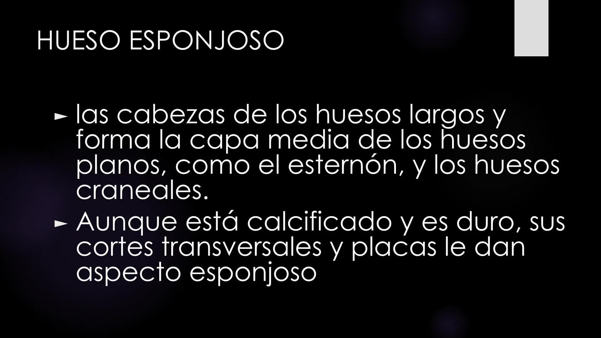 # Histología 2
C.D. FRANCISCO DE ASIS COBA TEC HUESO
► es el tejido
conjuntivo duro
y calcifica do
que integra el
esqueleto. - Los huesos