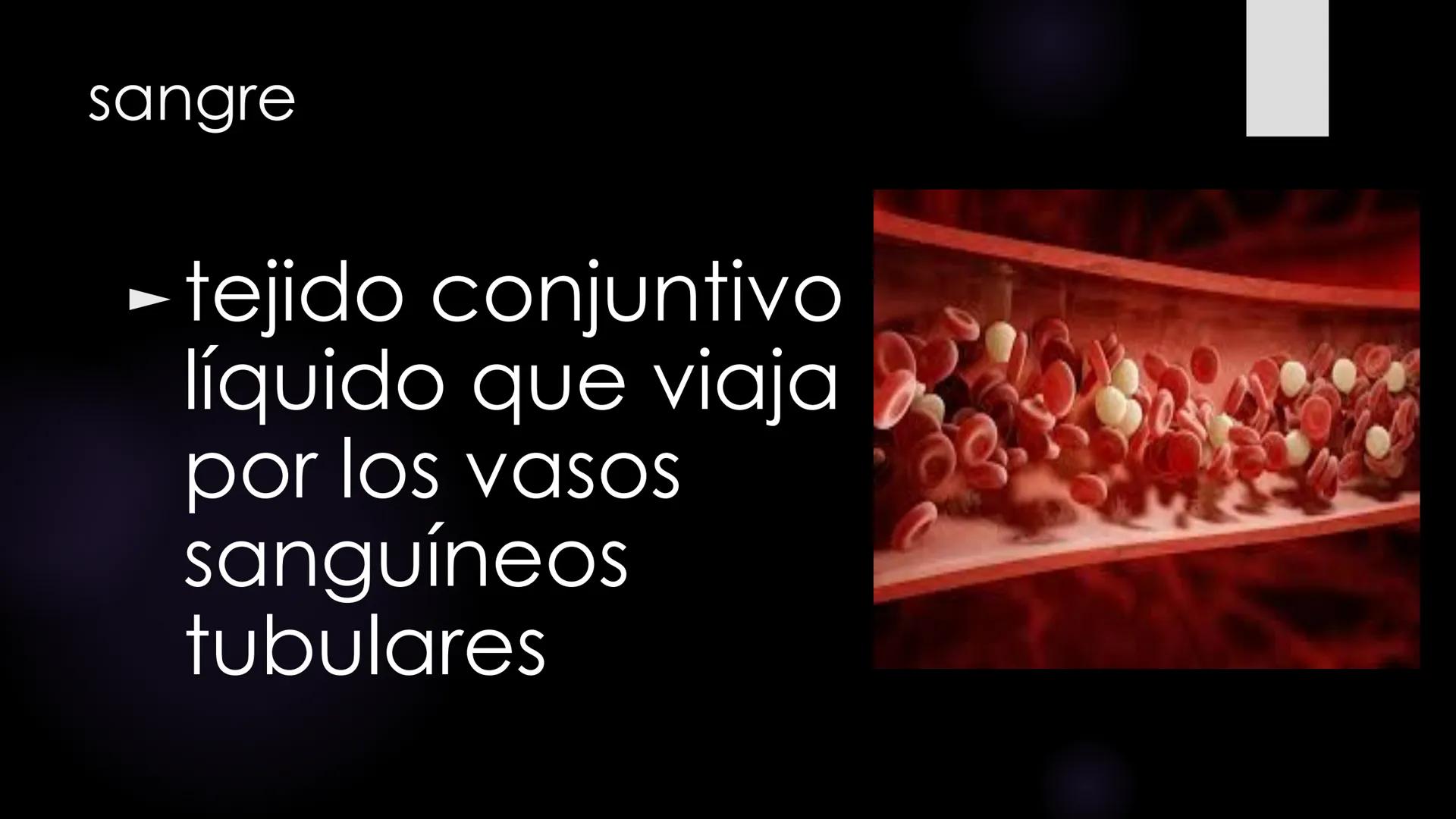 # Histología 2
C.D. FRANCISCO DE ASIS COBA TEC HUESO
► es el tejido
conjuntivo duro
y calcifica do
que integra el
esqueleto. - Los huesos